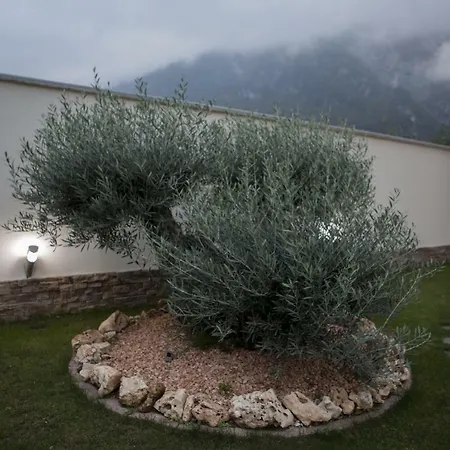 Da Jasmina Venzone